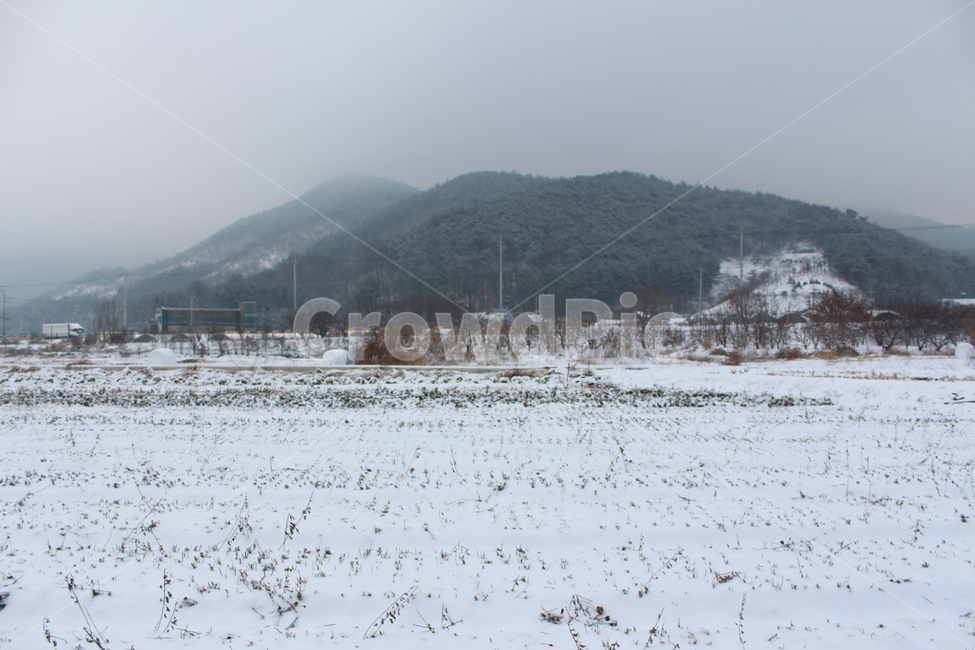 겨울,겨울풍경,눈,분위기,snow,겨울아침,시골풍경,한겨울,snowing,풍경,자연,landscape,계절,색감