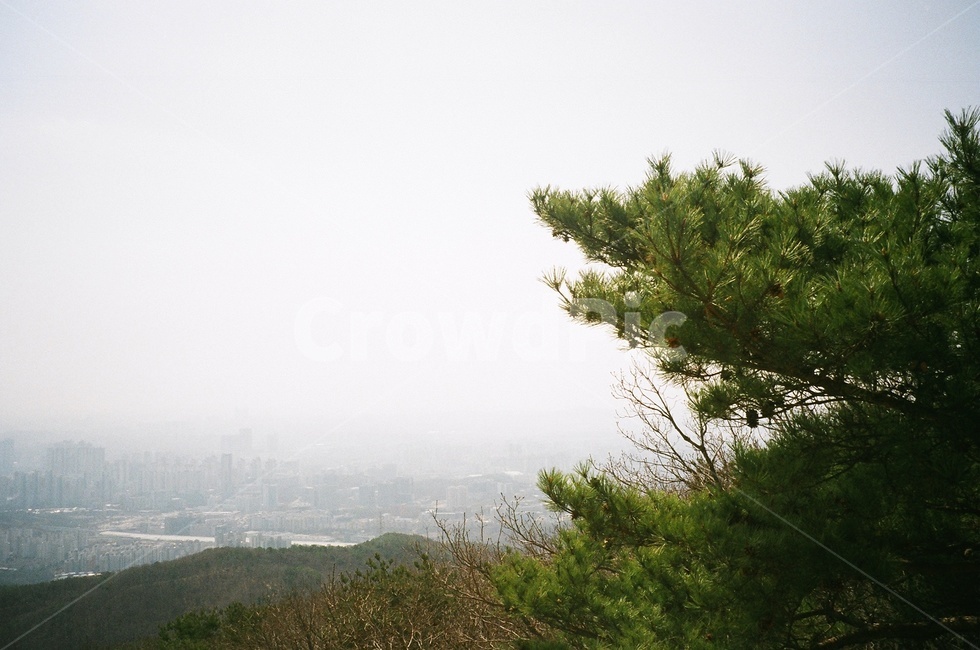 산,등산,광교산,나무,필름카메라,자연,풍경,nature,landscape,weather,날씨,outdoors,옥외