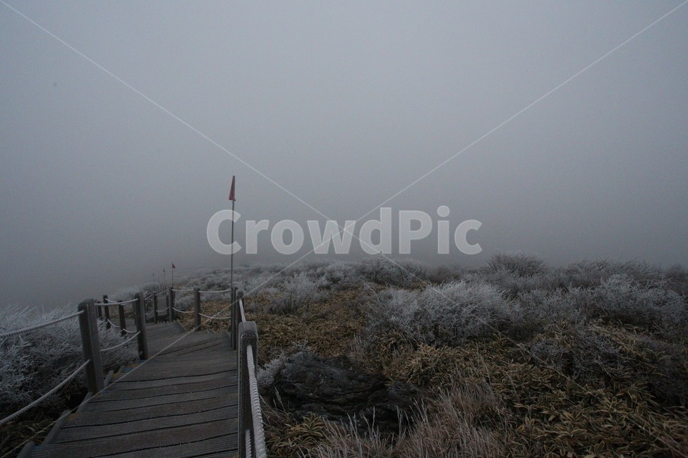 한라산,제주도,산,계단,상고대,자연,숲,겨울,눈,눈꽃,snow