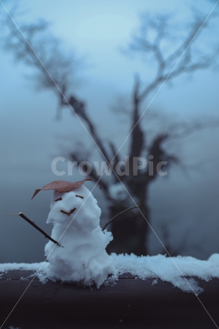 주산지,초겨울,눈사람,감성사진,스냅,겨울,계절,winter,season,감정표현,기분,feeling,emotion
