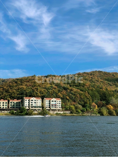 Nami Island background,Nami Island,Nami Island Riverside,Island scenery,Nami Island scenery