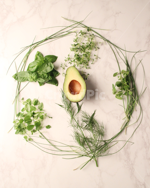 zabe,basil,time,applemint,oregano,hub,spring,딜,자이브,바질,타임,애플민트,오레가노,허브,봄