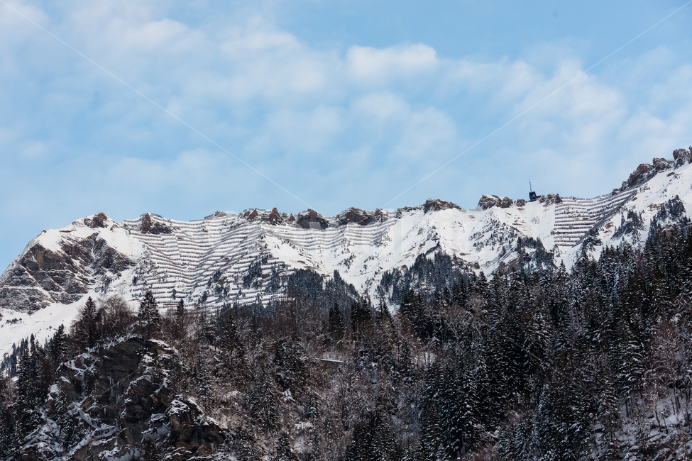 스위스,하늘,겨울,산,눈덮인,눈,숲,겨울,계절,winter,season,자연,풍경,nature,landscape,해외,외국,세계,foreign,oversea,world,세계자연풍경,해외자연풍경,외국자연풍경,world nature landscape,tree,나무,plant,식물,fir,전나무,abies,아비