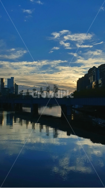 호주,풍경,강,새벽,봄,도시,풍경,city,landscape,water,물,outdoors,옥외,nature,자연