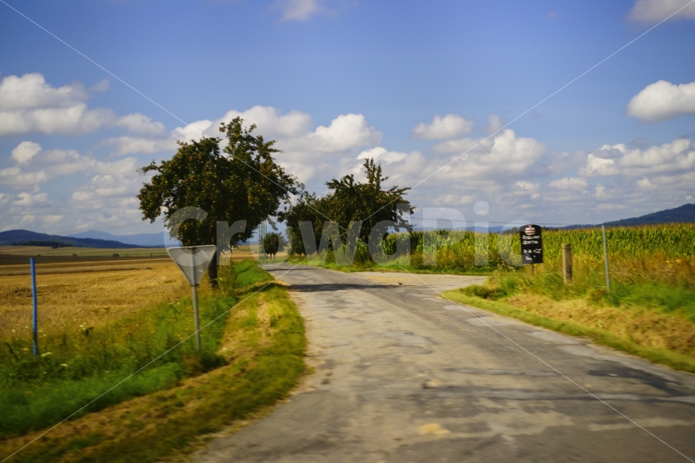 체코,유럽,외곽,가로수,체리,농촌,자연,풍경,nature,landscape,시골,마을,country,rural,town,해외,외국,세계,foreign,oversea,world,road,도로,asphalt,아스팔트