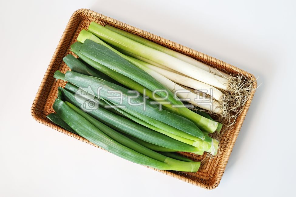 대파, 흙대파, 식재료, 음식재료, springonion, 사진,이미지,일러스트,캘리그라피 - 크리에이티브엘리작가