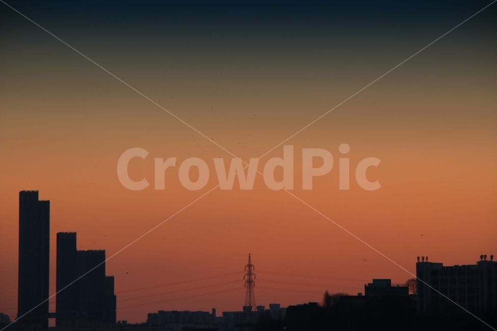 	야경,서울,도시,노을,해직녘,한남대교,감성,건물,그림자,도시,풍경,city,landscape,감성,sensible,feeling,색깔,색상,색채,색감,color sense,color sensitivity,feeling of color,nature,자연,outdoors,옥외