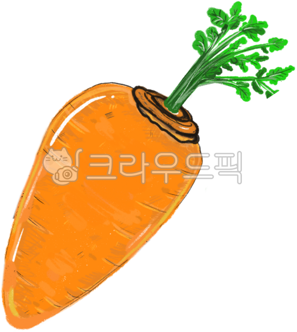 carrot,carrot drawing,vegetable,vegetable,vegetable drawing