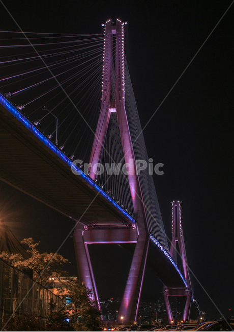부산,북항대교,부산항대교,보라색,다리,bridge,대교,밤,야경,건축물,구조물,야경,밤,풍경,nightscape,night,landscape,건축물,건물외관,exterior,building,structure,architecture,construction,건물