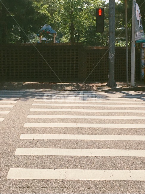 횡단보도,신호등,빨간불,도로,street,crosswalk,인도,길가,멈춤,정지,야외,여름날씨,햇빛,더움,기다림,잠깐,나무,담벼락