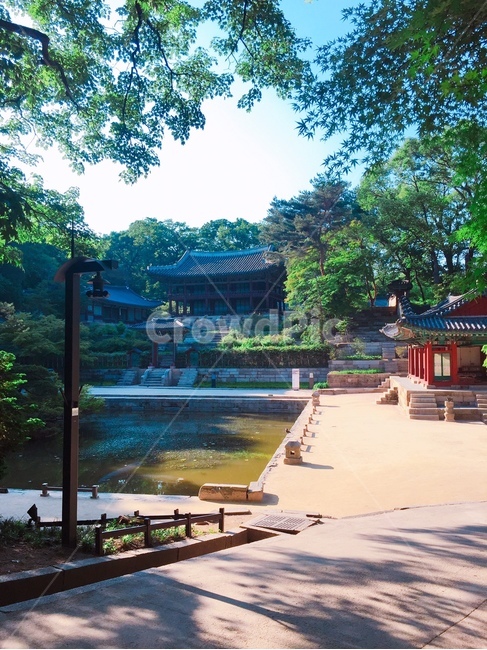 창경궁,비원,기와,place,outdoors,옥외,water,물,한옥,옛건물,고궁,temple,연못,한국전통,한국문화,korean traditional,korean culture