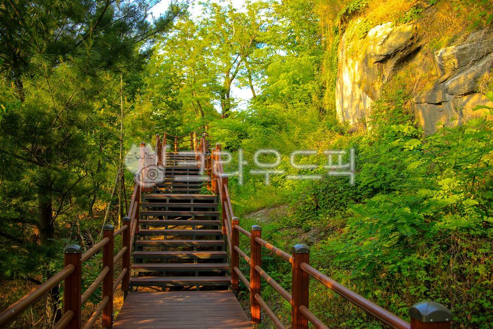 Dullegil,nature,stairs,tree,rock,rock wall,trail,outdoors,Gaeunsan Mountain,railing,plant,wood,Handrail,park