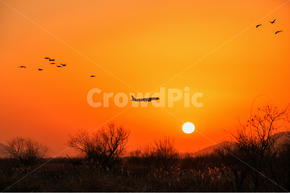 귀로,노을,석양,집으로,철새,실루엣,그림자,silhouette,shadow,여행,휴가,traveling,vacation,trip,교통,교통수단,traffic,transportation