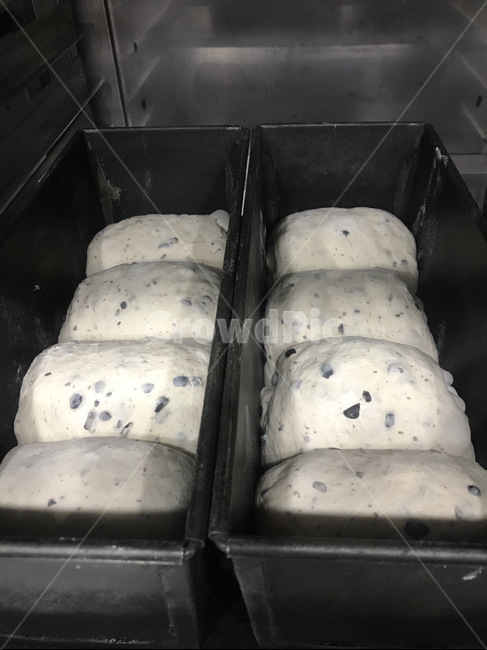 식빵,반죽,올리브,베이킹,베이커리,빵,음식,빵,bread