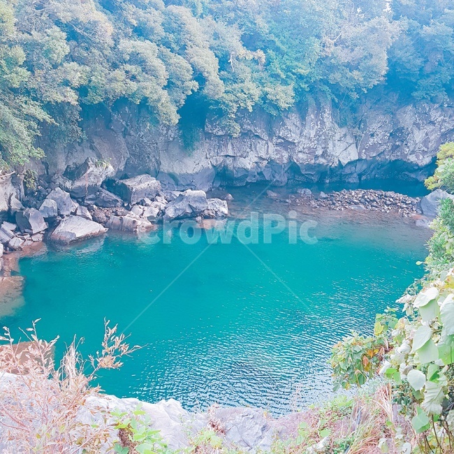 제주도,냇가,호수,연못,물