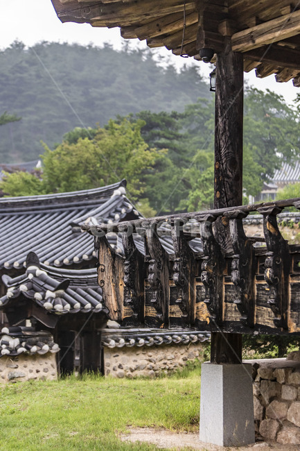 군자마을,기와담장,전통담장,기와,한옥,고택,문화유산,전통건축,관광명소,한옥마을,전통가옥