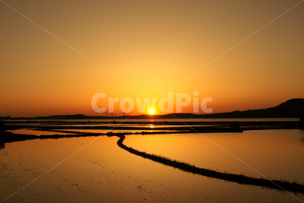 농촌,태양,저녁,붉은노을,자연,자연,풍경,nature,landscape,sunlight,햇빛,outdoors,옥외