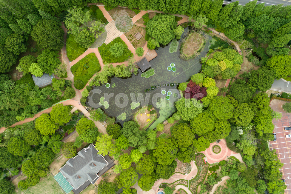 자연,연못,나무,꽃,여름,봄,식물,풍경,자연,풍경,nature,landscape,outdoors,옥외,경치,scenery,aerial view,조감도