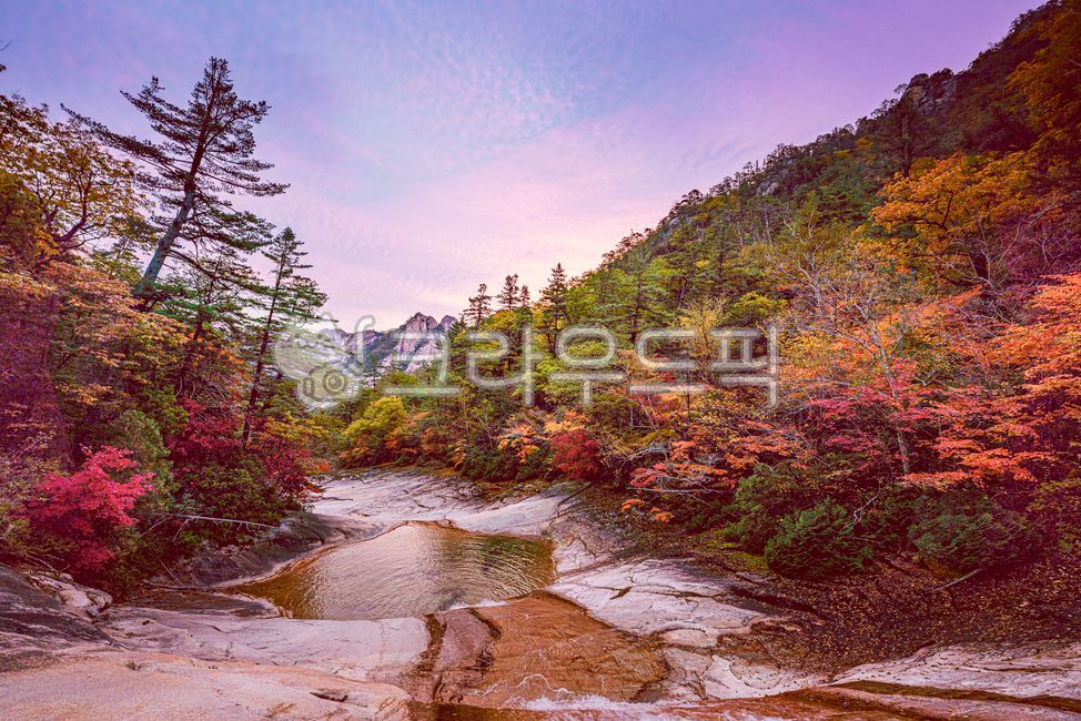 자연, nature, 풍경, landscape, 산, 사진,이미지,일러스트,캘리그라피 - Vaun작가