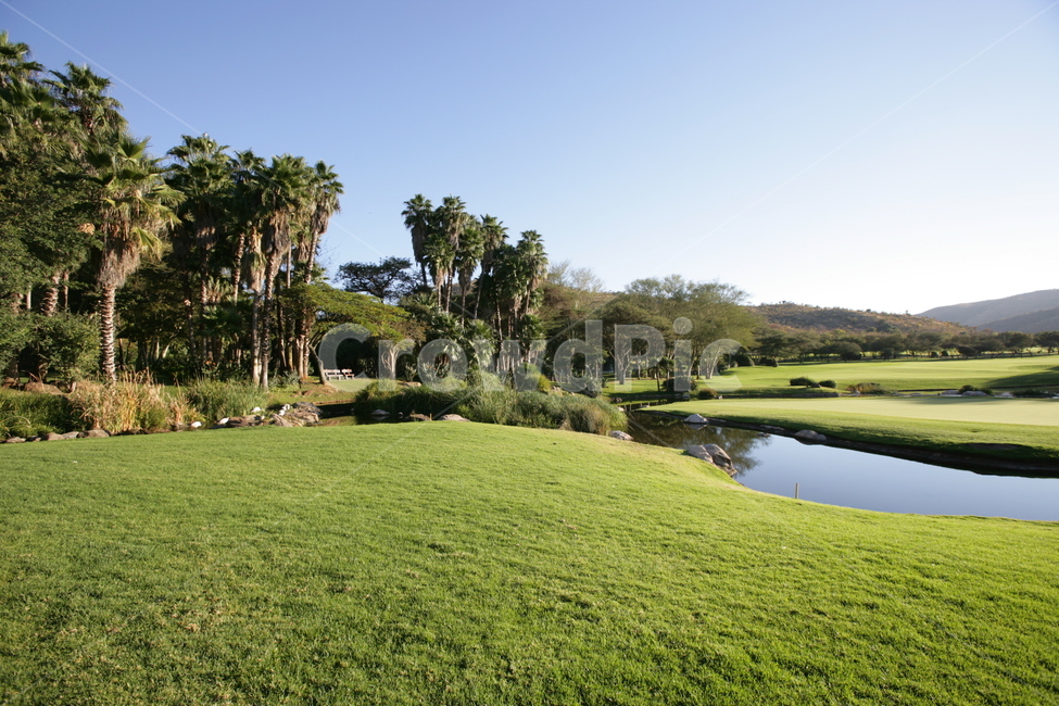 field,들,outdoors,옥외,grass,잔디,plant,식물,golfcourse,골프코스