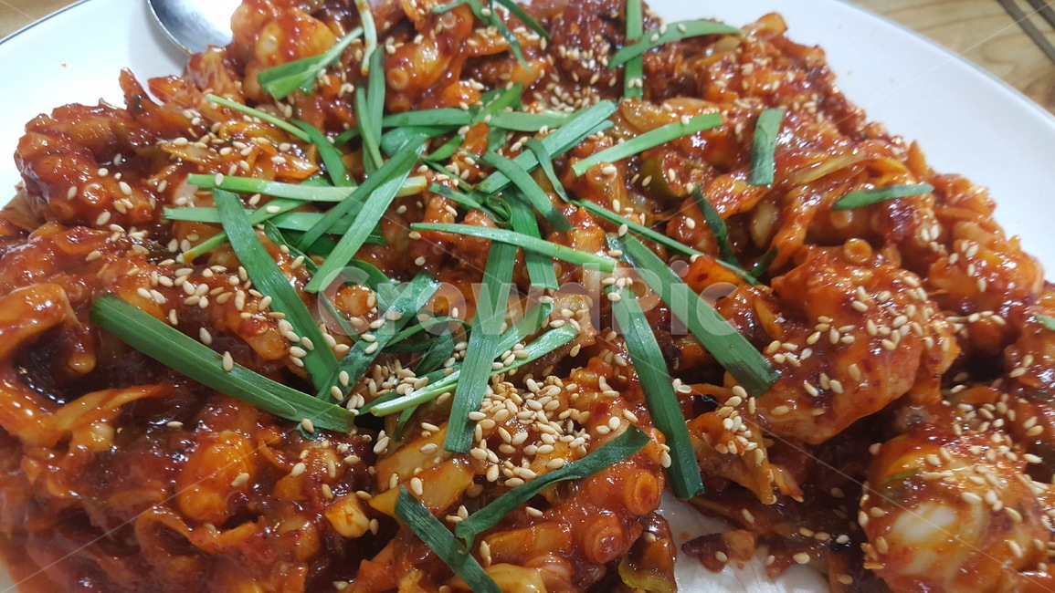 요리,음식,낙지,낙지볶음,매운맛,매운낙지,낙지요리,음식,식재료,요리,food,cook,meal,dishes,food reserves,한식,한국음식,한국요리,korean food,korean dishes,korean meal,korean cook