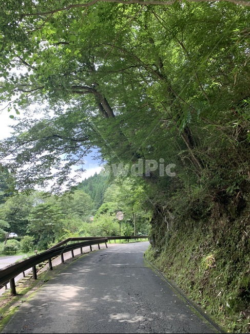 아스팔트,길,시골,자연,마을,자연,풍경,nature,landscape