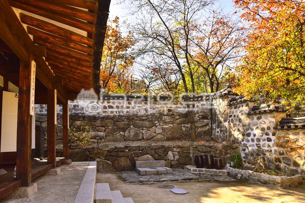 남산골한옥마을,한옥마을,문화유산,한국전통,돌담,가을배경,시즌,계절,백그라운드,장독대,뜰,뒷뜰,단풍숲,타워,칼라풀,색감,옥외,자연,숲,가을산,autumn,tower,namsantour,house,건물,집,architecture,건축물,지붕,housing,주택,안마당