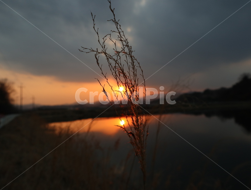 노을,일몰,자연,한국,시골,구름,장관,풍경,nature,sunrise,cloud,식물,자연,plants,nature