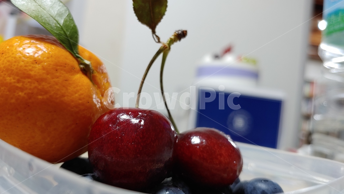 plant,식물,food,음식,fruit,과일,체리