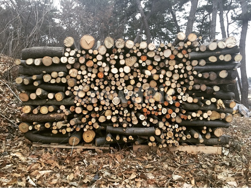 나무,겨울,장작,나무토막,땔감,자연,힐링,나무,trees,wood