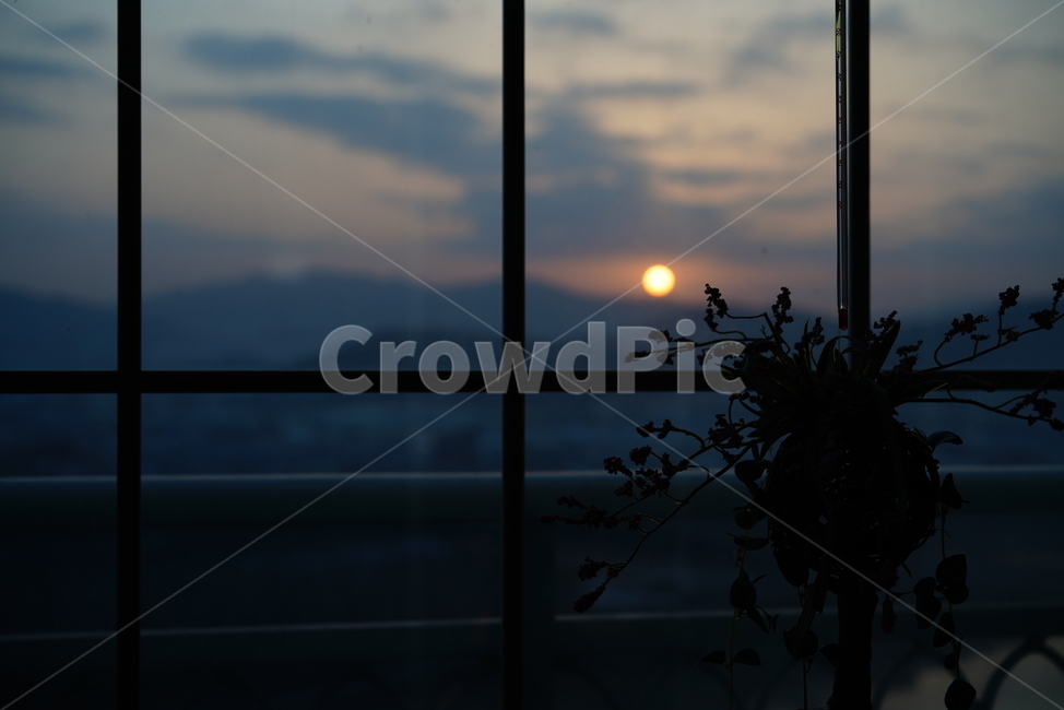 일출,태양,해,풍경,창,창가,window,자연,느낌,감성,구름,하늘,실루엣,sun,shine,색감,실내용화초,화분,화초,house plant,실루엣,그림자,silhouette,shadow