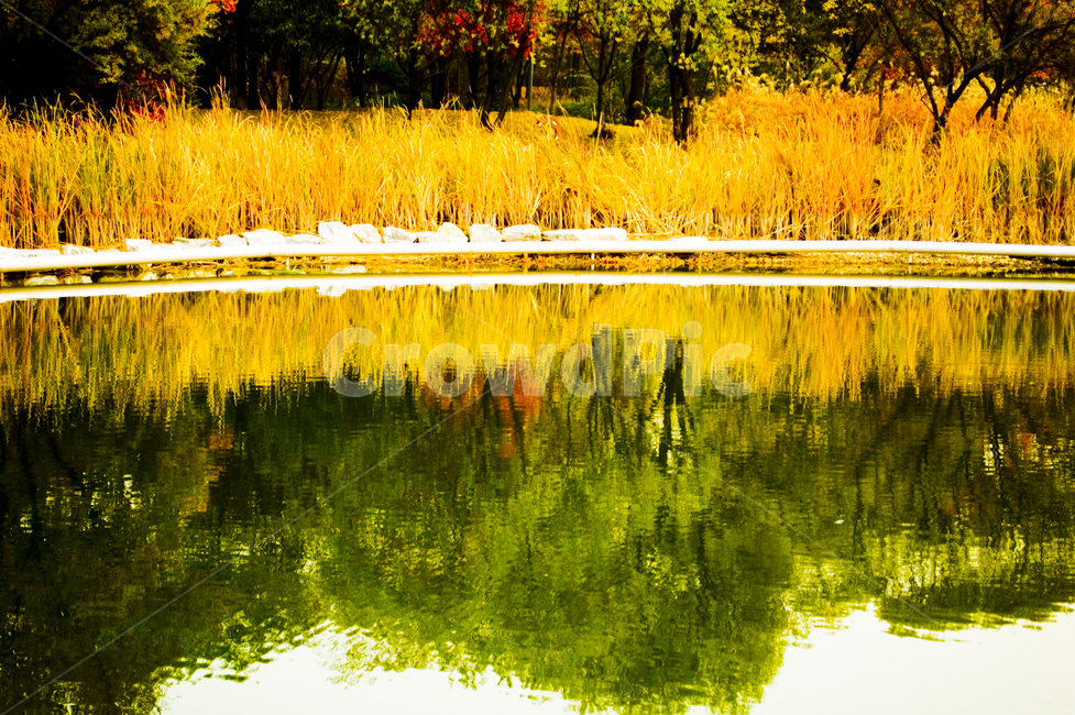 풍경,산책길,산책,길,호수,노을,가을,계절,fall,autumn,season,자연,풍경,nature,landscape,water,물,outdoors,옥외