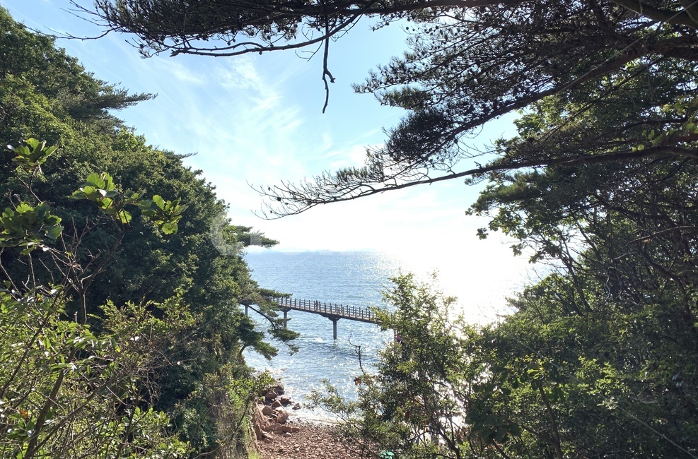 바다,풍경,다리,햇빛,sea,bridge,자연,풍경,nature,landscape,tree,나무,plant,식물,outdoors,옥외
