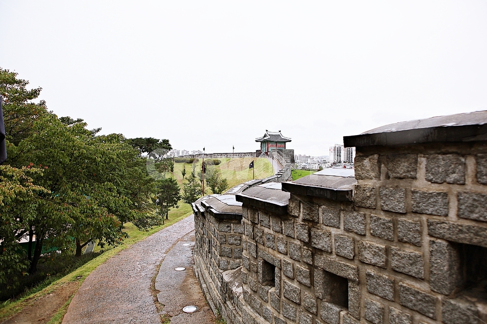 수원화성,성,성곽,길,둘레길,돌담,담,가을,자연,풍경,벽,방어벽,흙담,식물,전통,한국전통,한국문화,korean traditional,korean culture