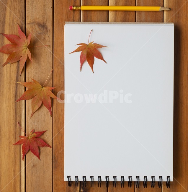 연습장,연필,스케치북,종이,공란,공책,단풍잎,가을,잎,exercisebook,pencil,sketchbook,paper,blank,notebook,mapleleaf,autumn,leaf,가을,계절,fall,autumn,season,사물,물건,오브젝트,thing,object,matter,학용품,문구류,사무용품,school supplies,stationery,office supplies,plant,식물,tree,나무