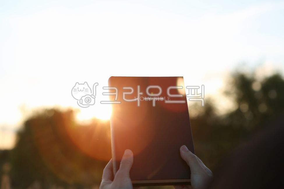 symbol,pray,hold,thanks,snuggle,Worship,Christ,Evangelize,bible,touch,Jesus Christ,morning,jesus,light,Gospel,background,shining,catholic,gospel,trust,love,Catch,seize,Bible,church,bright,faith,sun,Jesus,The Cross,both hands,evangelism,hand,holy,words,rel