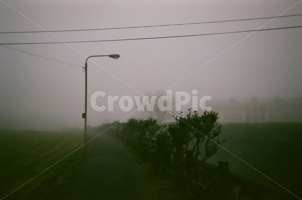 으스스,공포,물안개,안개,안개길,시골안개,필름카메라,자연,풍경,nature,landscape,weather,날씨,outdoors,옥외