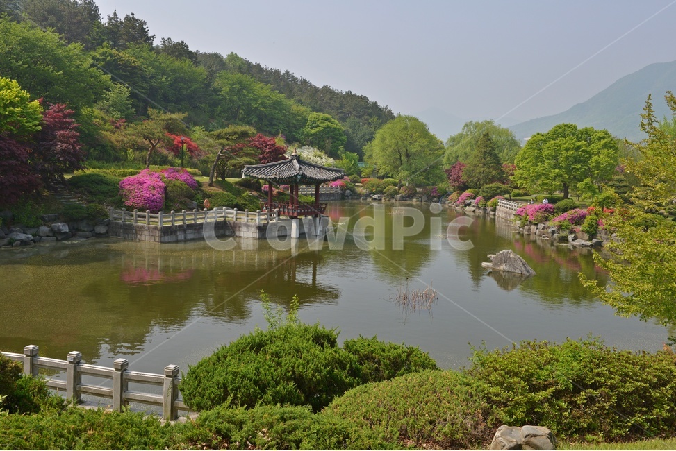 충남,대전,현충원,국립현충원,현충지,pond,못,garden,정원,연못,반영,현충지봄,철쭉,철쭉꽃,봄,계절,경치,경관,풍경,outdoors,옥외,nature,자연,water,물,plant,식물,tree,나무,정자,쉼터
