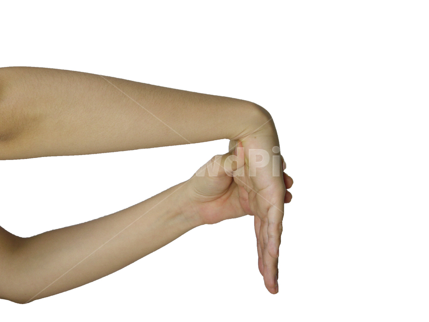 activity,arm,arthralgia,arthritis,bend,body,care,exercise,finger,fingers,flex,flexible,flexing,gesture,gesturing,hand,health,healthy,human,illness,inflammation,lifestyle,massage,massaged,medical,medicine,muscle,pain,palm,people,person,physiotherapy,power,pressing,relaxationexercise,sign,signal,skin,strength,stretch,symbol,therapy,treatment,warmup,wellness,workout,wrist,yoga,손,인간,사람,스트레칭,손목스트레칭,손바닥스트레칭,손가락스트레칭,손운동,손가락운동,케어,물리치료,뻗기,워밍업,건강,연습,손바닥,사람,인물,인간,human,person,신체일부,몸,body