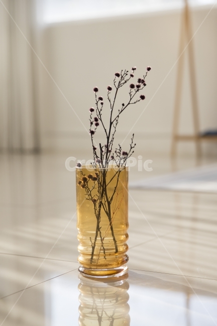 꽃,잔,유리,해빛,소품,식물,자연,plants,nature,실내용화초,화분,화초,house plant,인테리어,실내디자인,interior design