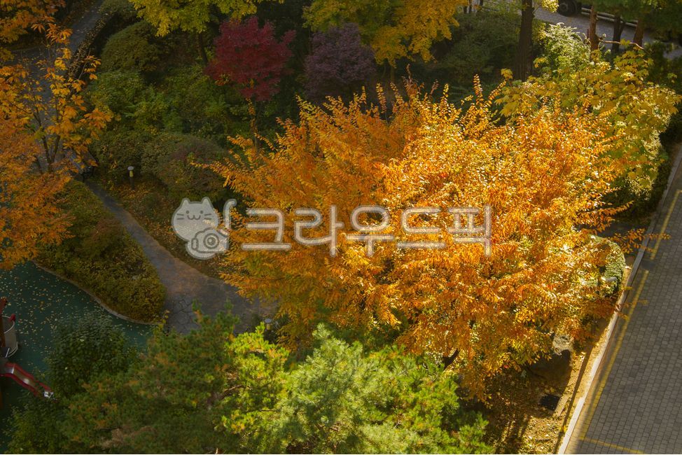 Park,apartment complex,garden,landscaping,top angle,fallen leaves,autumn foliage,paving blocks,yellow,plants,nature,orange,autumn,trees,landscape