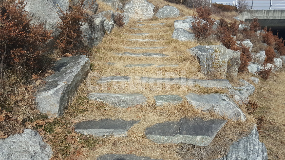 계단,돌계단,산책로,잔디,자연,공원,풍경,겨울,계절,winter,season