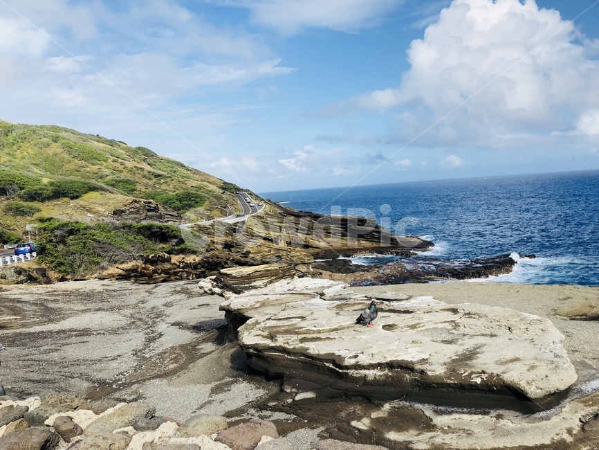 promontory,곶,sea,바다,ocean,옥외,outdoors,자연,nature,대양,water,물,shoreline,해안선,하와이,호놀룰루,하와이호놀룰루,풍경,경치,자연,풍경,nature,landscape
