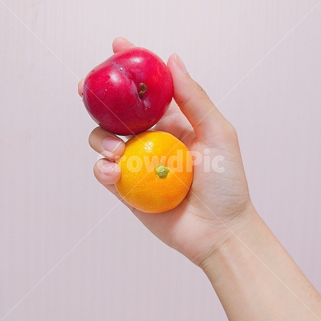 귤,자두,과일,orange,plum,손