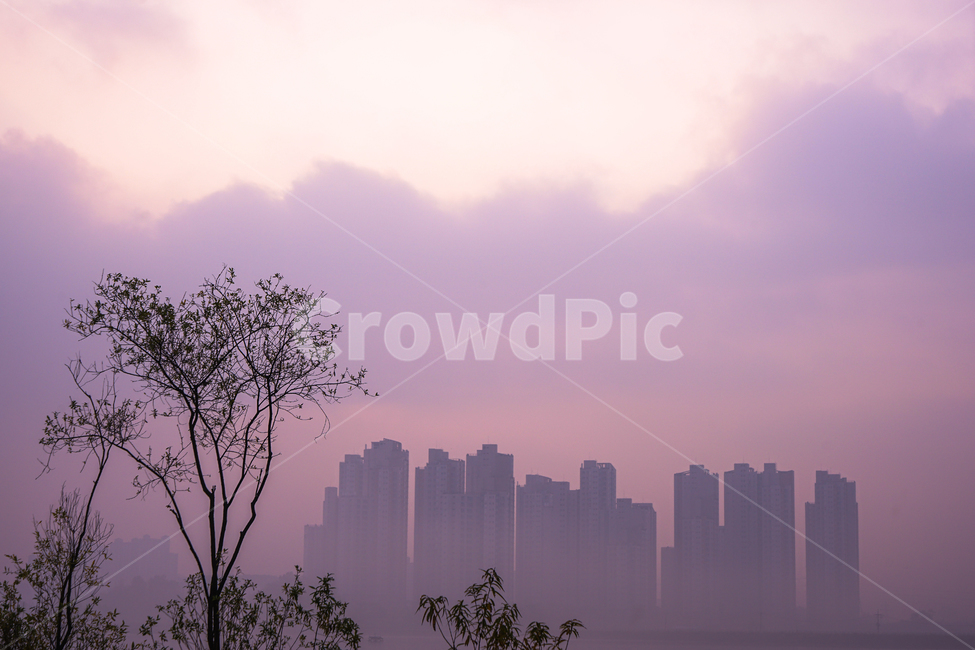 호수,안개,아파트,건물,물안개,아침,풍경,자연,도시,풍경,city,landscape,한국도시풍경,한국도시경관,korea cityscape,nature,fog
