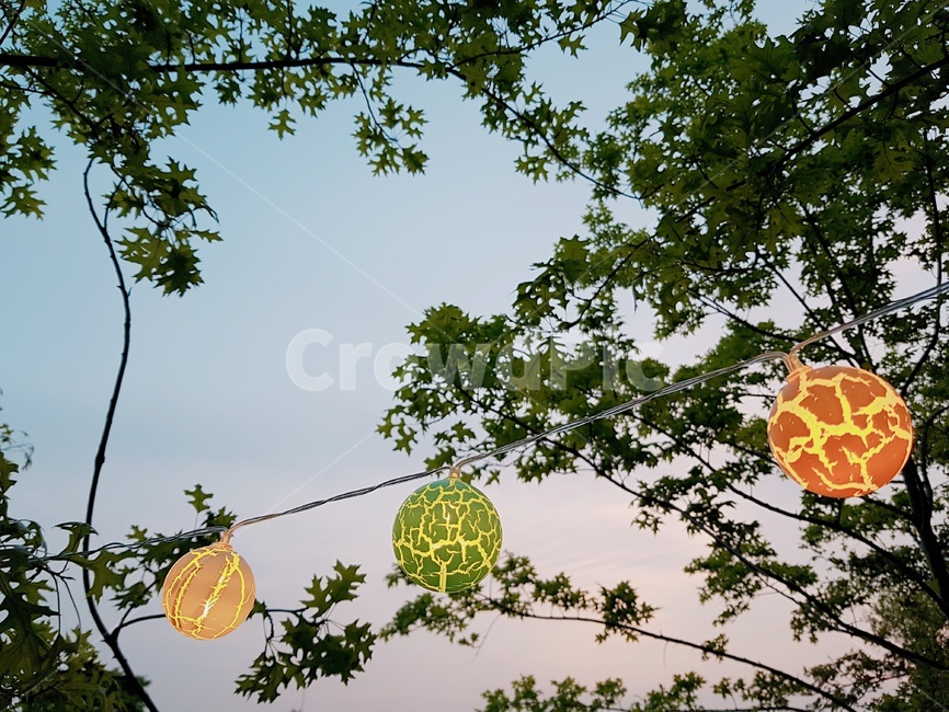 하늘,노을,전구,불빛,나무,자연,풍경,nature,landscape