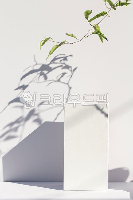 exhibition,shadow,display,leaf,filming props,3d background,white,light,prop,plant,showcase,display box,white box,exhibition die,exhibition stand