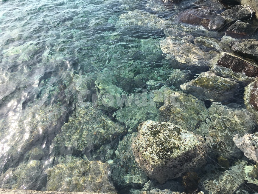 독도,에메랄드바다,에메랄드,바다,아름다운,자연,풍경,nature,landscape,ocean,대양,sea,outdoors,옥외,water,물,sea life,해양 생물,animal,동물,reef,암초