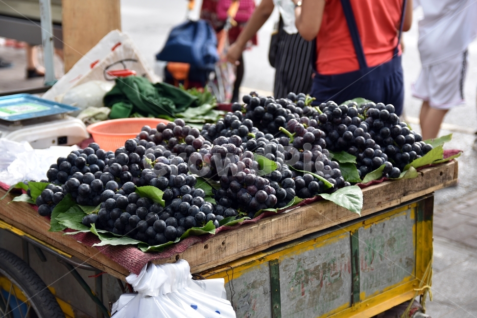 서안,xian,포도,시장,market,과일,열매,fruit