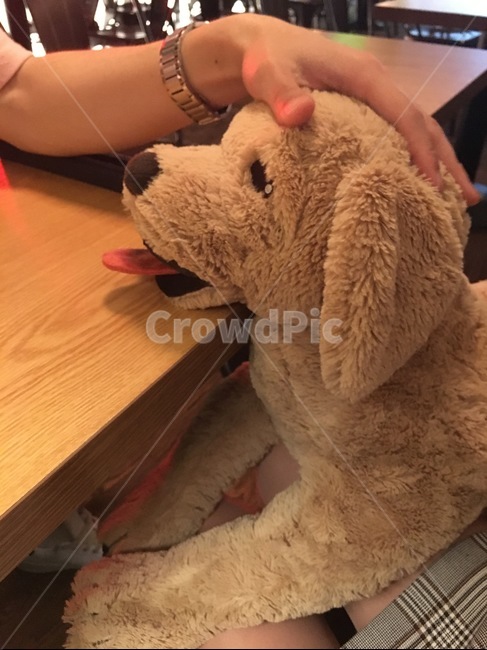 강아지,인형,강어지인형,술집,귀여운강아지